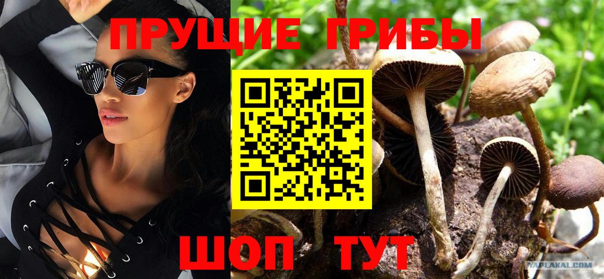 Мурино  Галлюциногенные грибы ЛСД  Вход с VPN 
